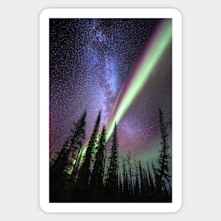 Milky way and the Aurora Borealis (C022/8448) Sticker